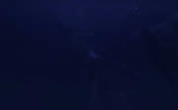魔改电影 鬼吹灯之精绝古城