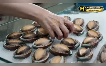 白鹿原2之爱在玉米地 合集