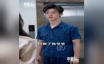 离婚后我与苏大小姐闪婚了 合集
