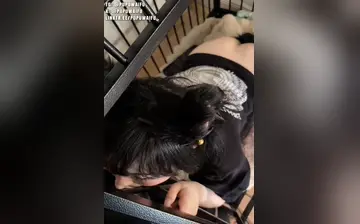 噗噗 pupuwaifu 新作 【汪汪】小母狗被圈养玩弄，只有肉棒才能让她开心，看到肉棒两眼发光，渴望被深喉后入，被按在铁笼上猛操，骚逼被干得啪啪响
