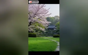 《出差》第二集