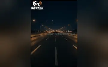 黑道总裁的契约情人 合集