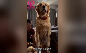 【救命！我变成了一条狗】第1集